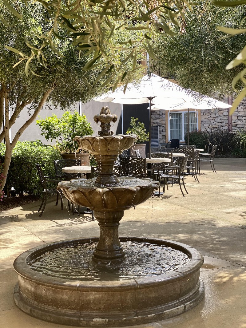 Solo Travel Tips for Visiting Napa Valley