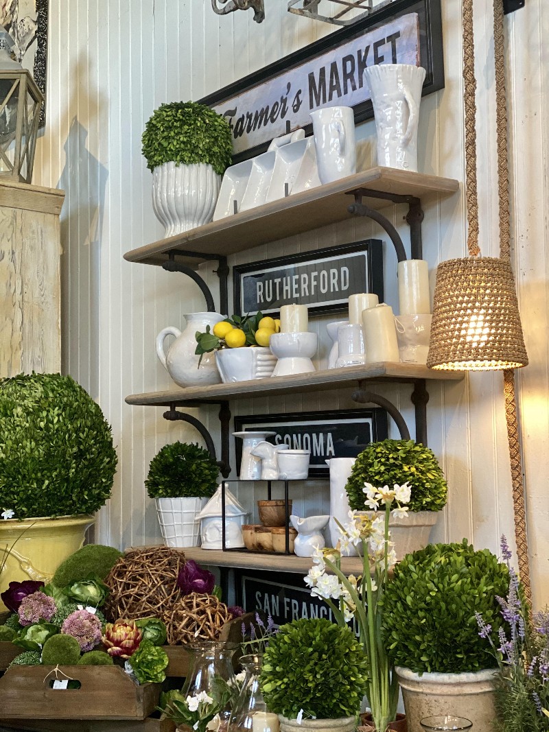 Solo Travel Tips for Visiting Napa Valley