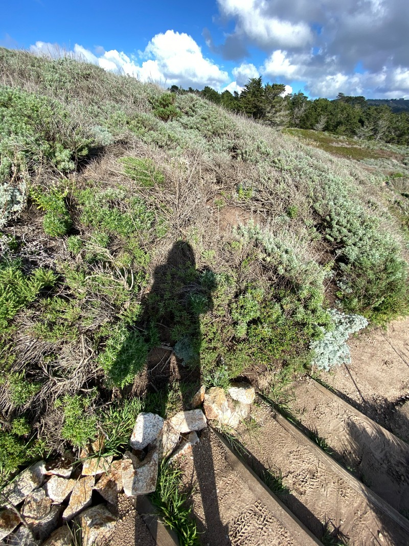 The Shadow Work Journey - How To Heal Inner Pain and Trauma