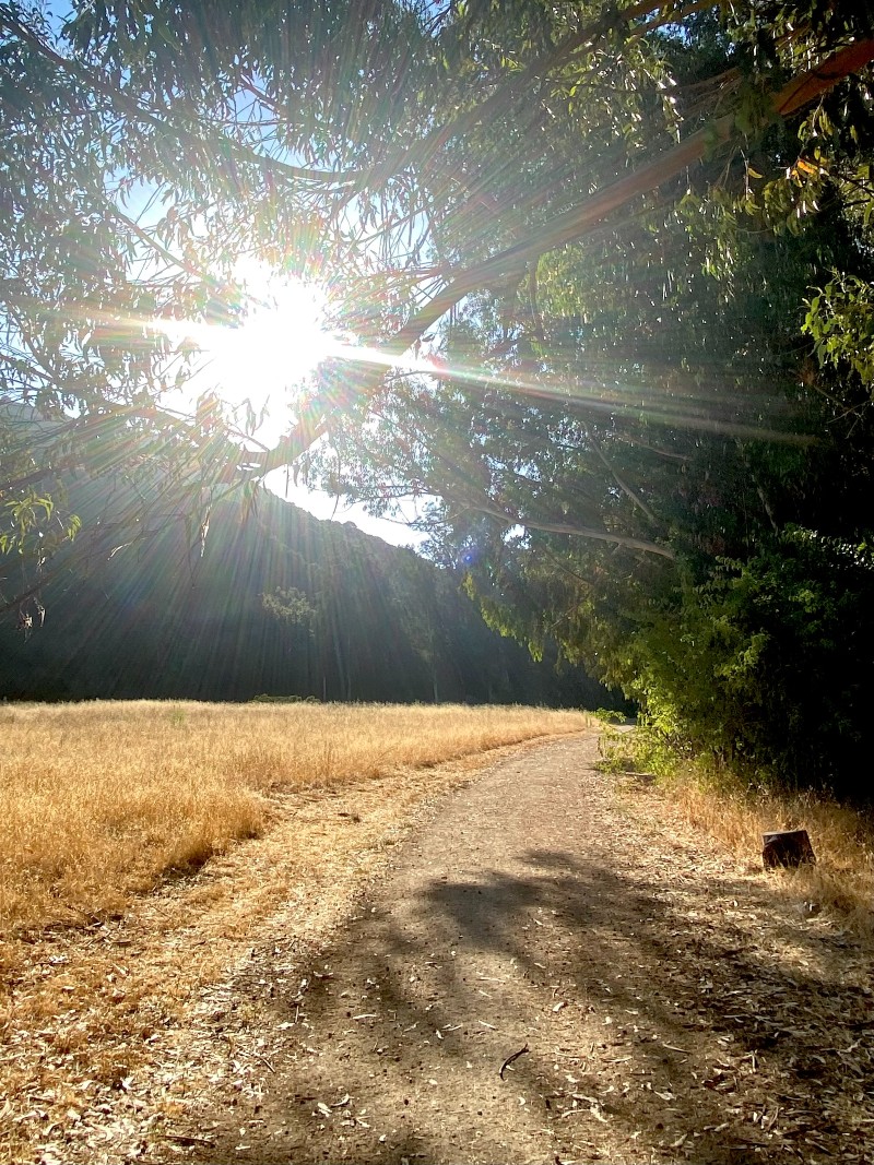 The Shadow Work Journey - How To Heal Inner Pain and Trauma