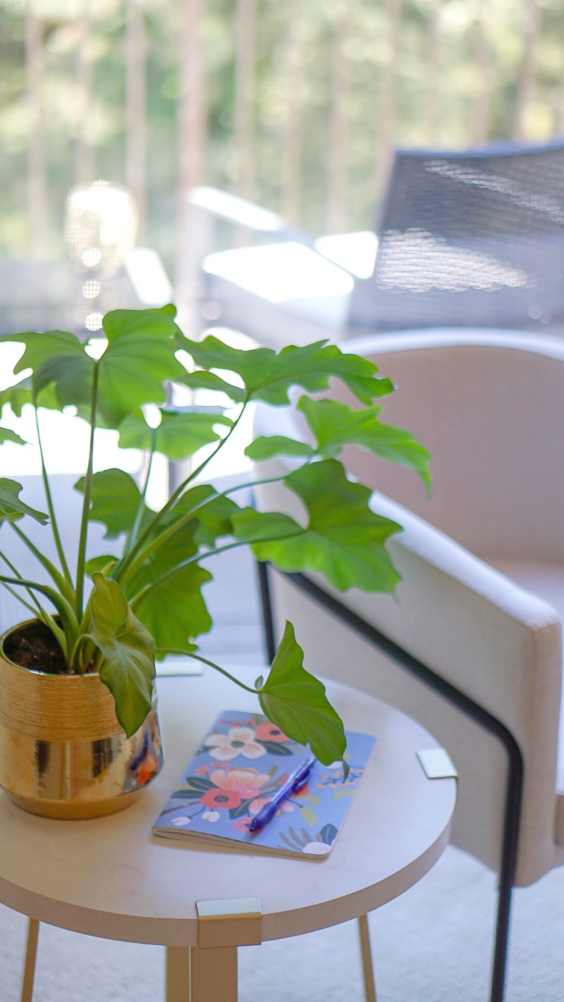 eng Shui Practices That Can Enhance the Energy of Your Home