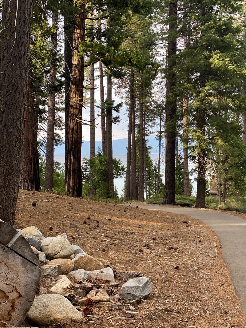 Lake Tahoe Travel Guide - Fun Places to Stay and Play in North Tahoe