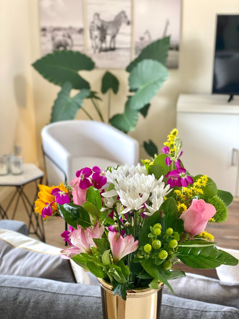 The Secret to Happiness: How To Elevate Out of the Limited Egoic Mind into Your Limitless Consciousness