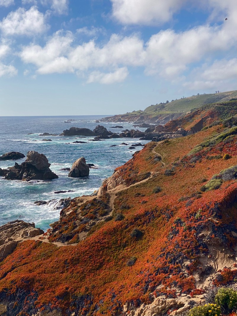 5 Must-See Places on the Monterey Peninsula