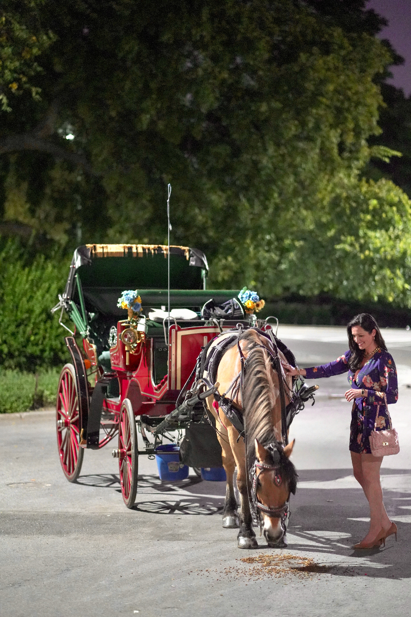 How To Find Your Personal Power by Discovering Your Spirit Animals