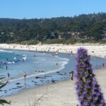 How Ecopsychology & Grounding Practices Can Enhance Your Physical, Emotional, and Mental Health Ecopsychology-and-Grounding-to-Enhance-Health-9