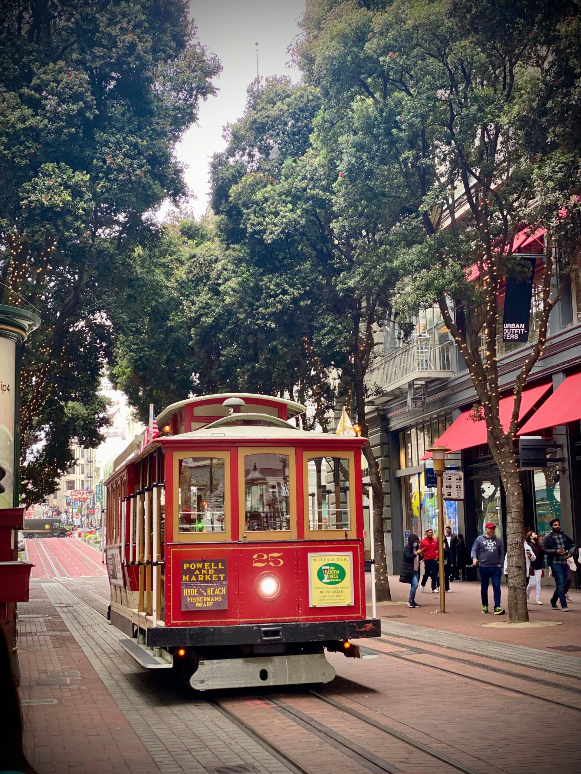 San Francisco Travel Guide