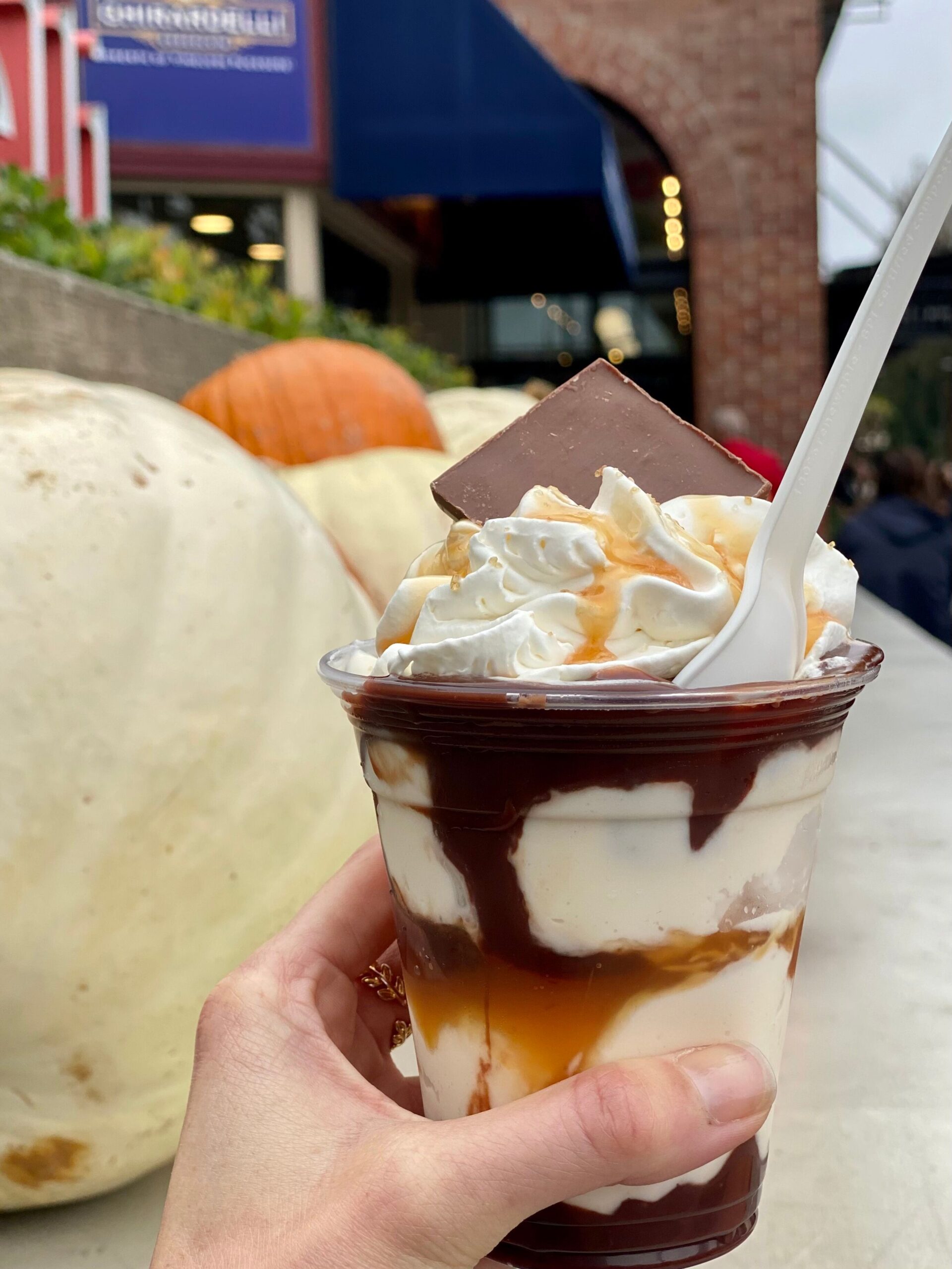 San Francisco Travel Guide