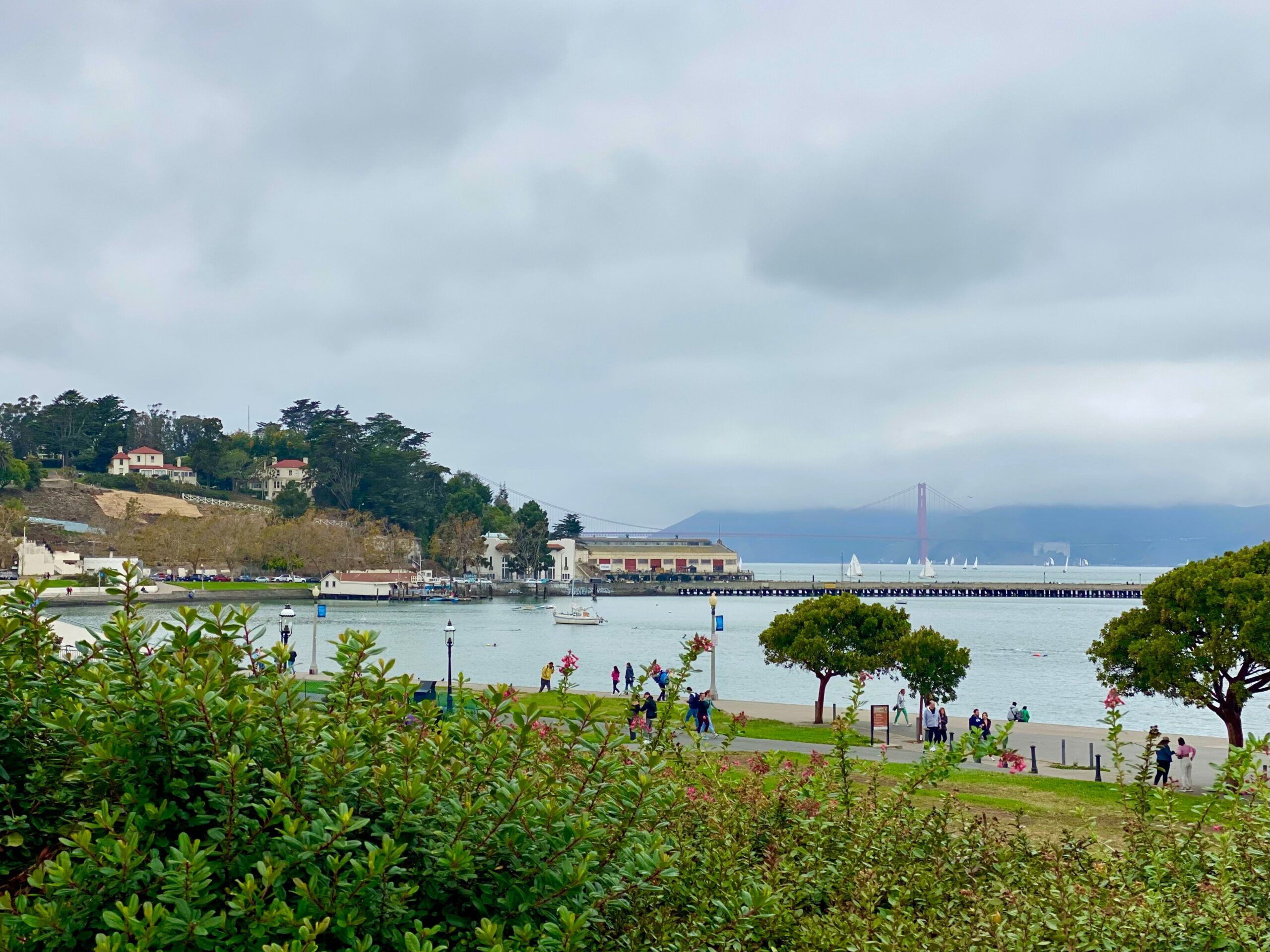 San Francisco Travel Guide