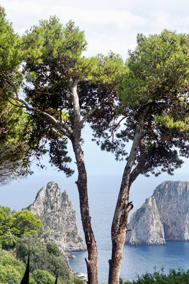 Travel Guide to Capri Italy