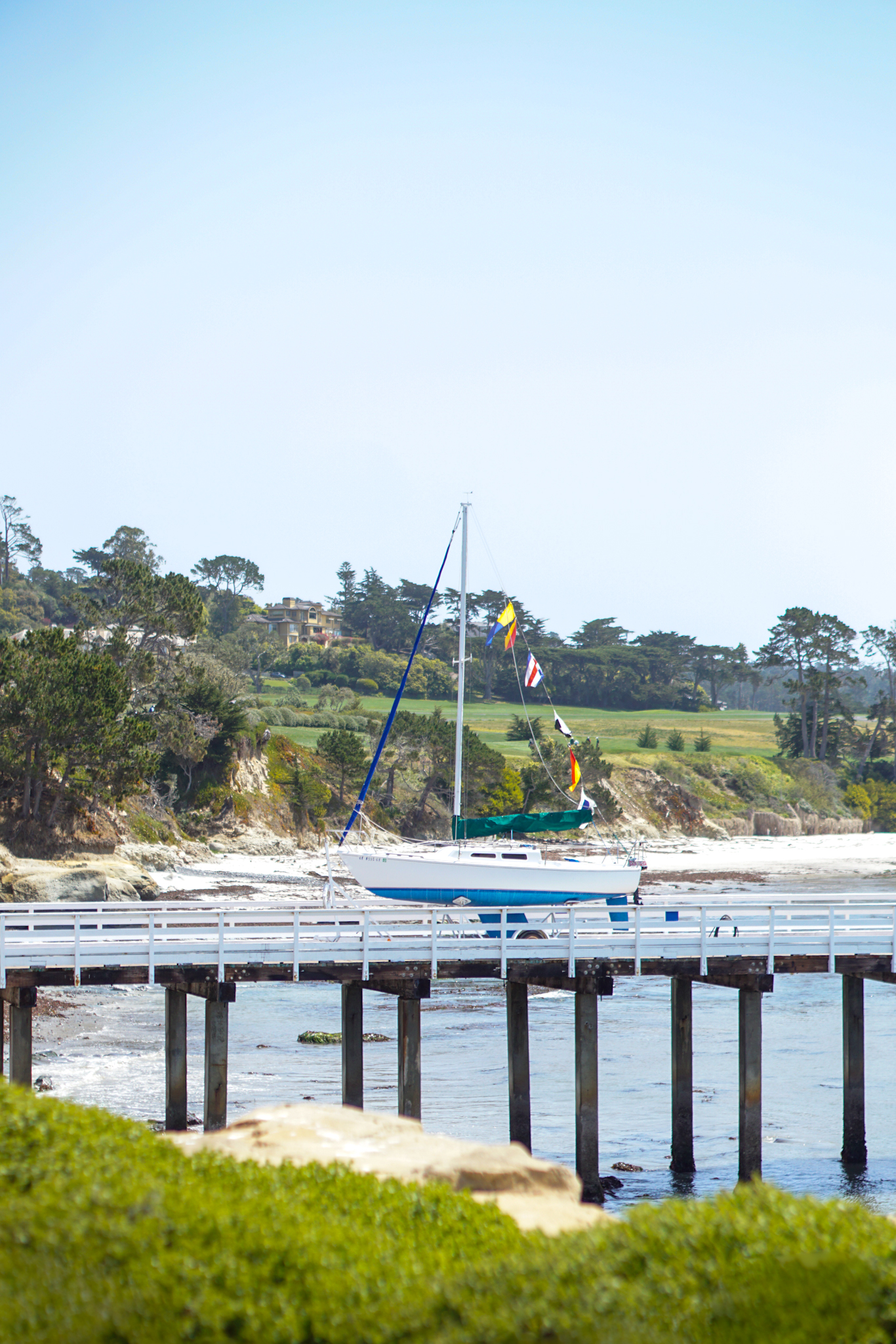 The Ultimate Travel Guide to Pebble Beach, California