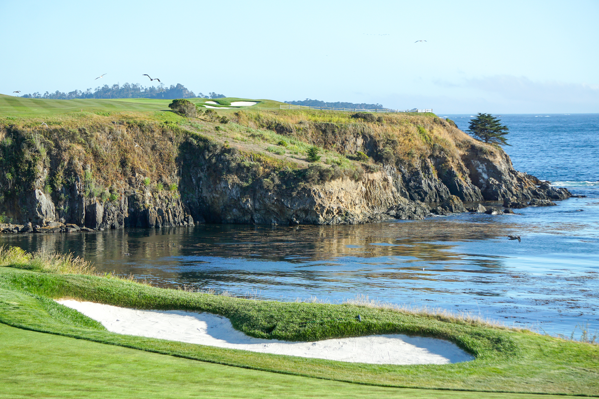 The Ultimate Travel Guide to Pebble Beach, California
