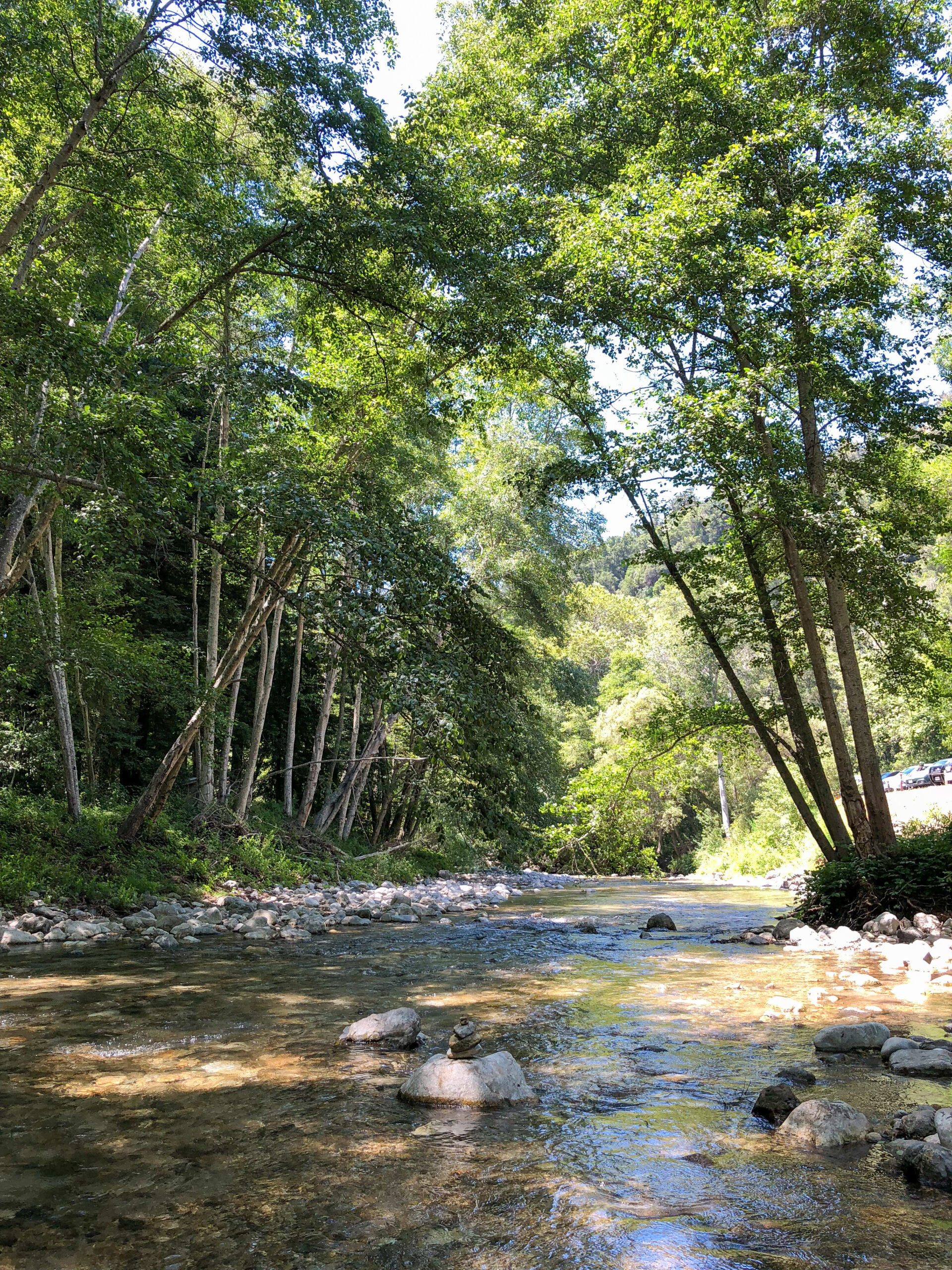 50 Inspiring Ways to Celebrate Summer