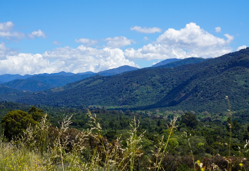 Travel Guide to Carmel Valley, California - Discover Rustic Elegance at These Must-Visit Hotels, Restaurants, and Wineries