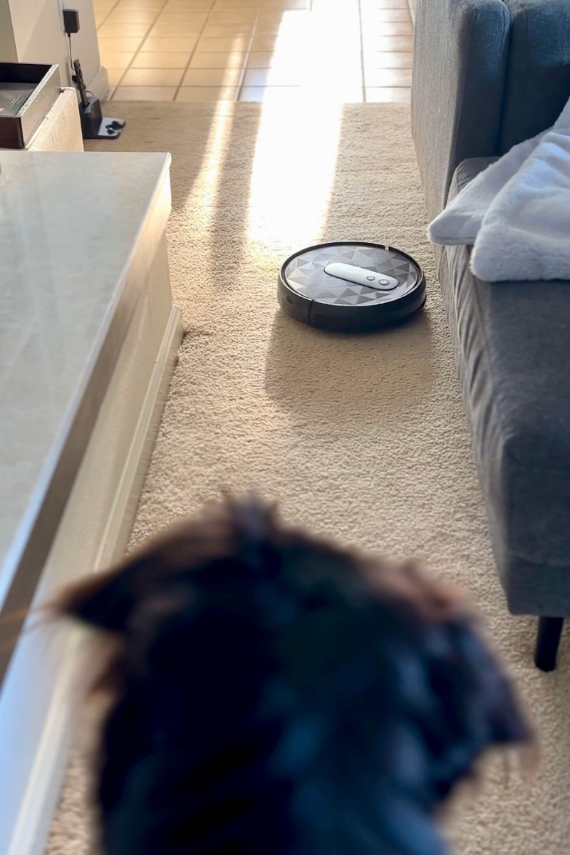 Holiday Gift Guide for Happier Homes and Hostesses