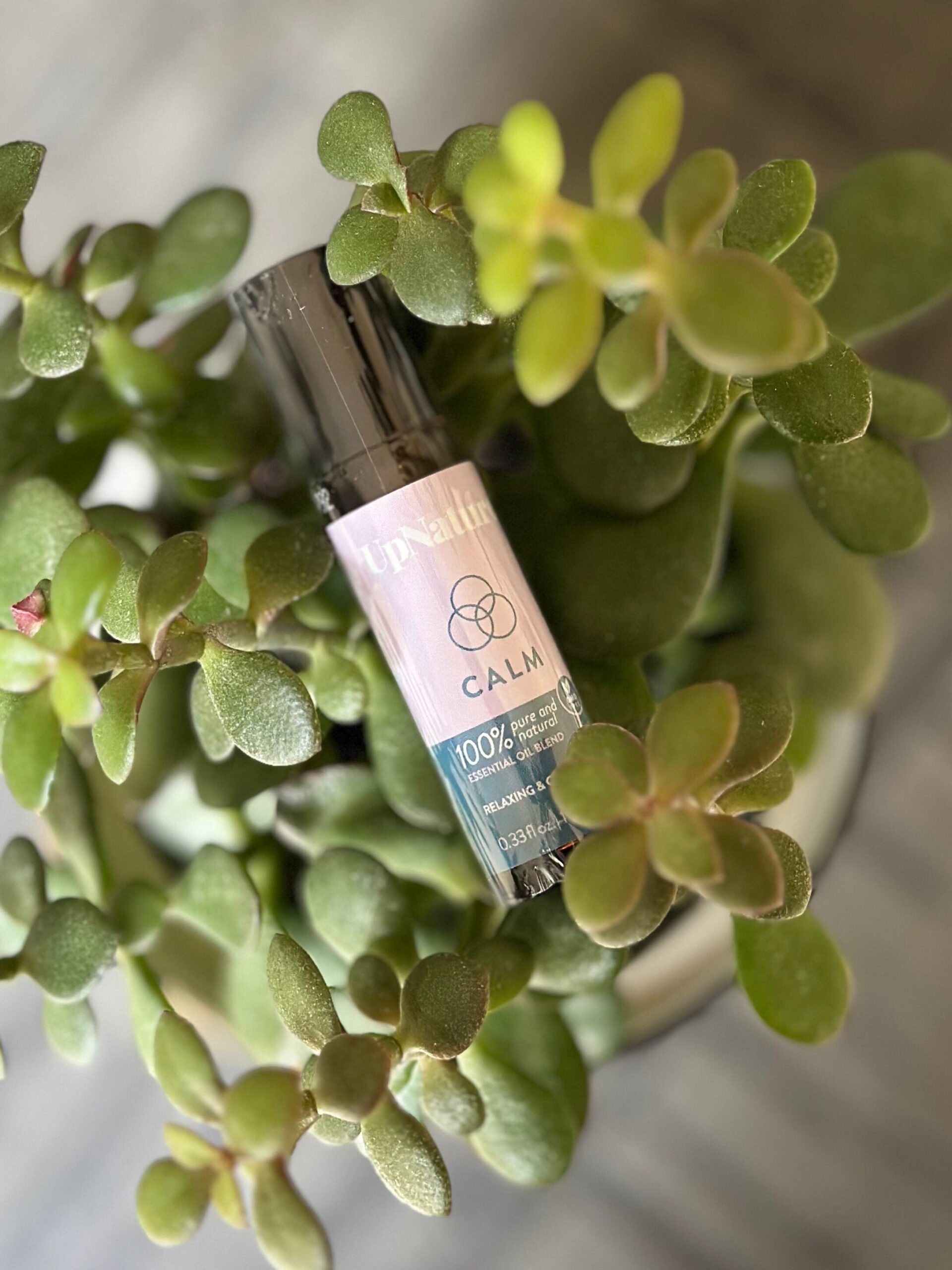 New Year New Me Giveaway