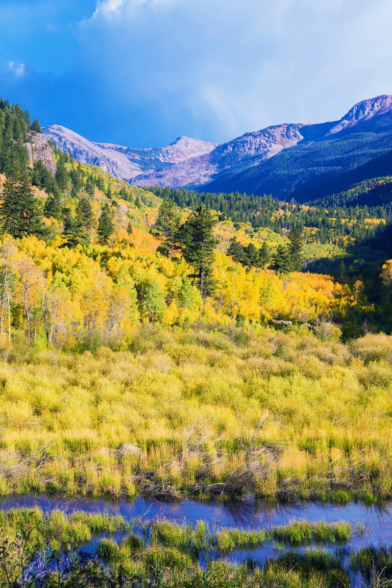 10 Incredible Travel Destinations in the USA To Visit In 2024