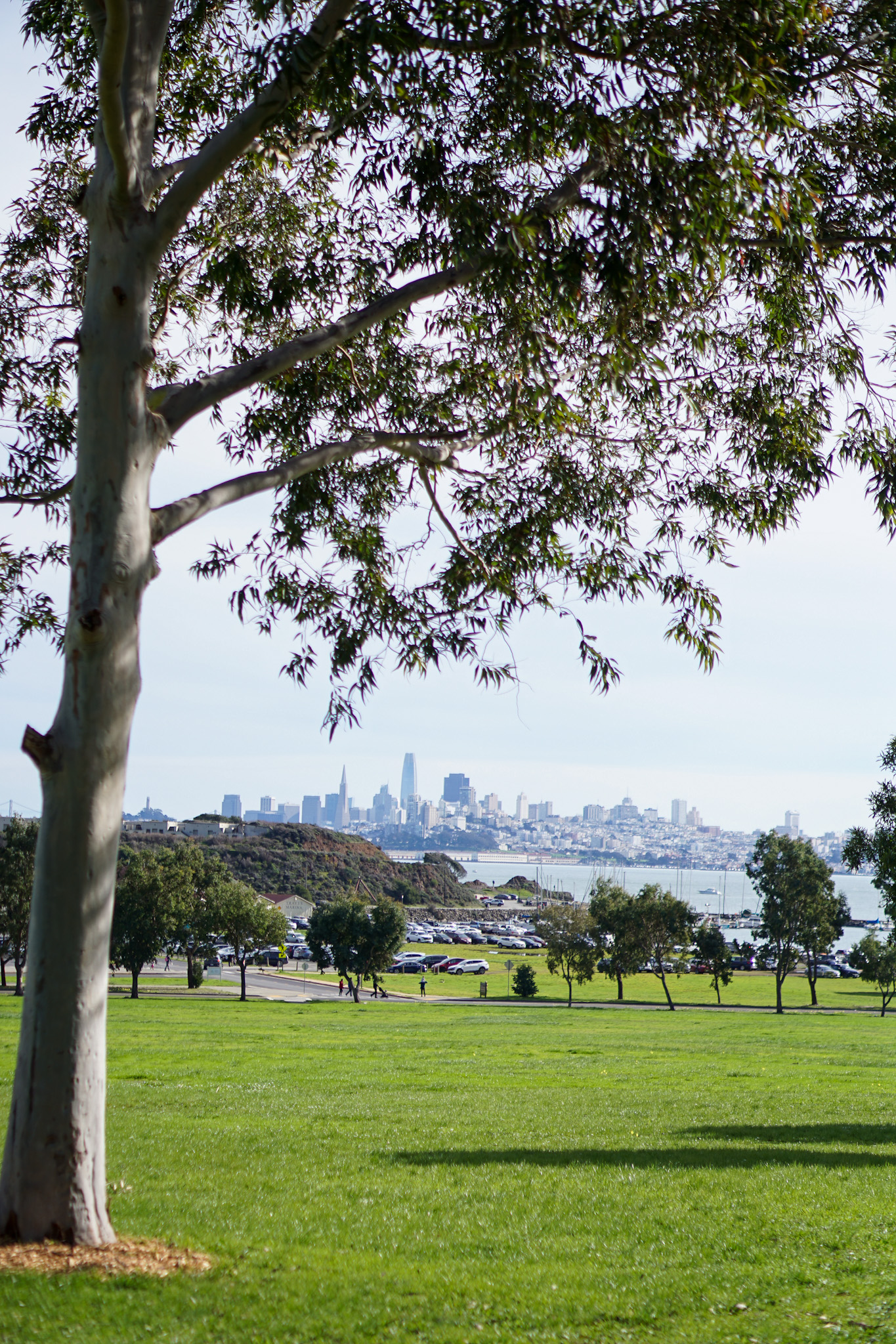 Luxury Travel Guide to Sausalito California: Discover This Chic & Charming Escape by The Bay