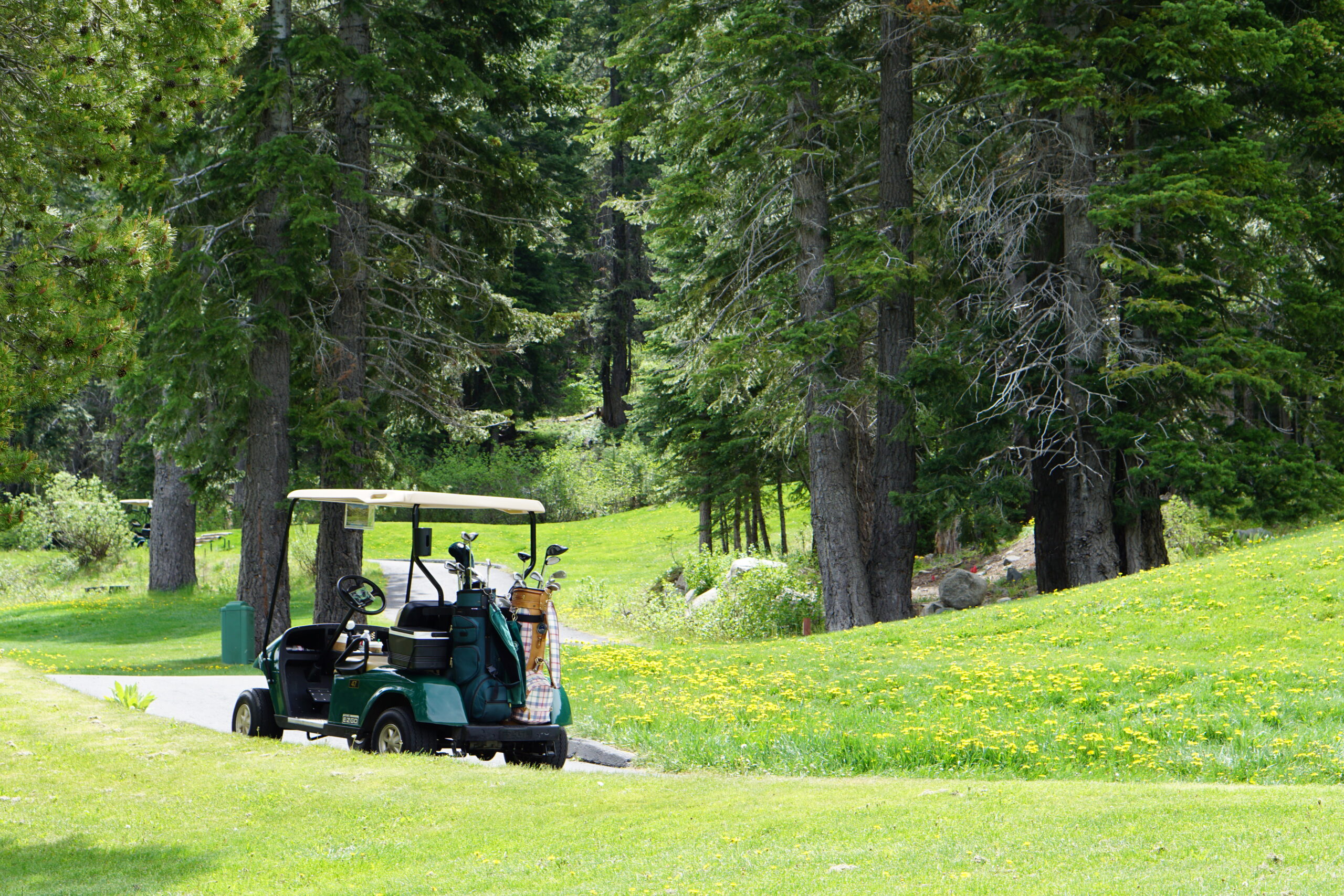 25 Fun Activities You Can Do on Valentine’s Day Whether You’re Single or in a Relationship