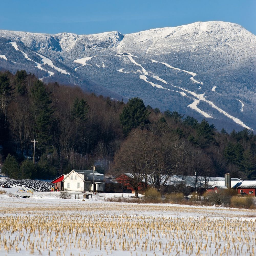 8 Awesome Last-Minute Travel Destinations to Celebrate President's Day Weekend