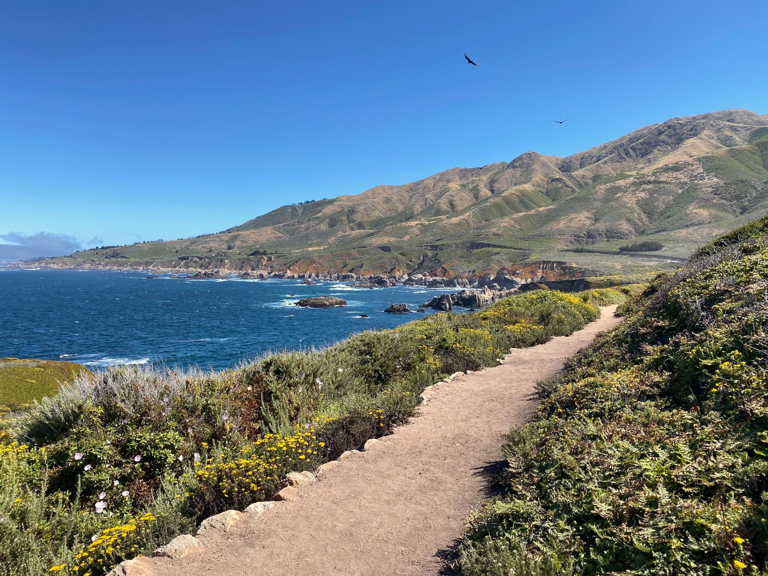 25 Fun Activities You Can Do on Valentine’s Day Whether You’re Single or in a Relationship