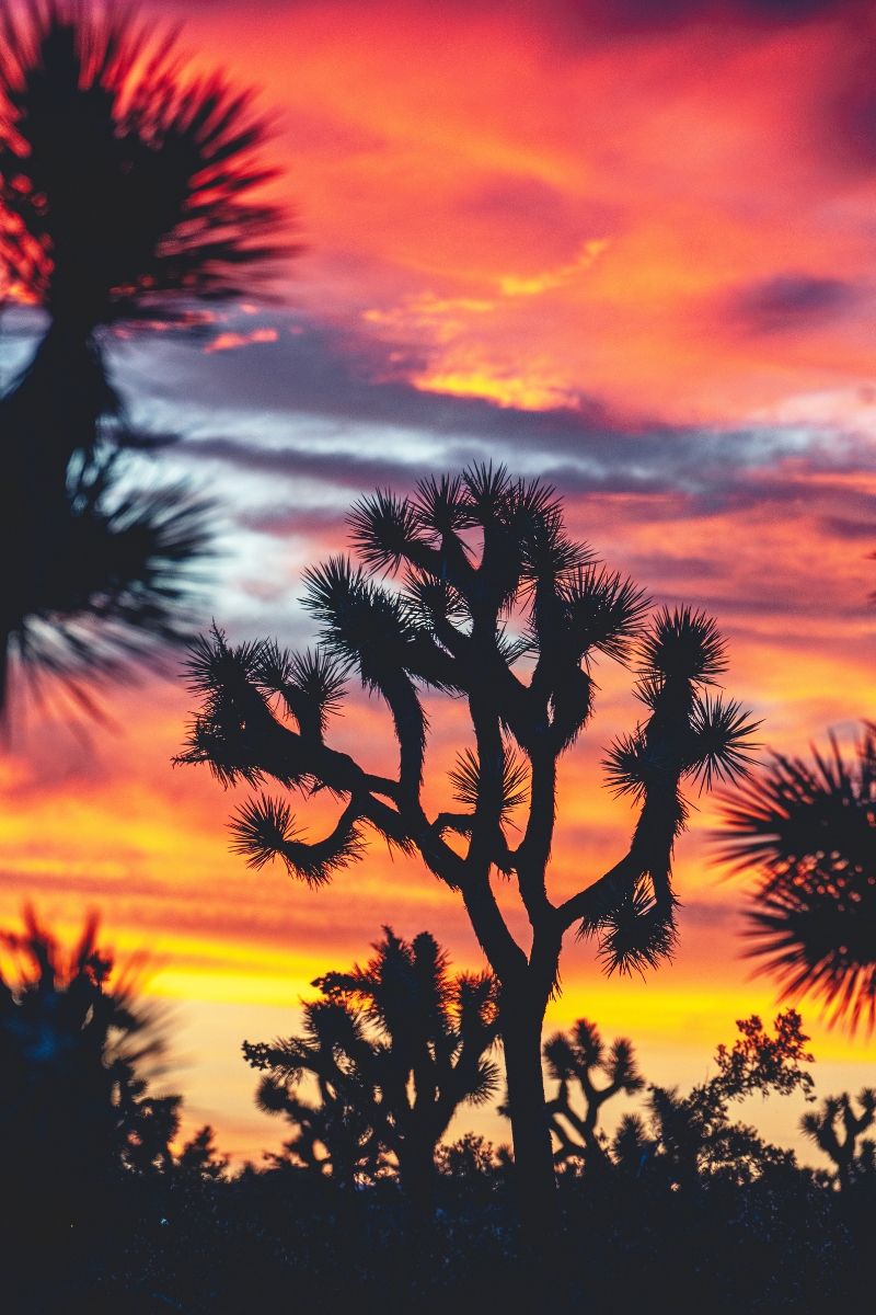 9 Unique Travel Destinations for Epic Spring Vacations That You'll Remember for a Lifetime