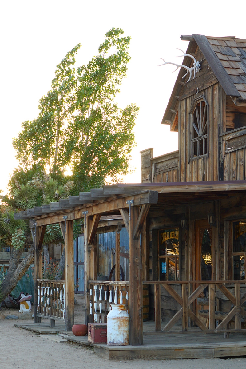 9 Unique Travel Destinations for Epic Spring Vacations That You'll Remember for a Lifetime - Joshua Tree California