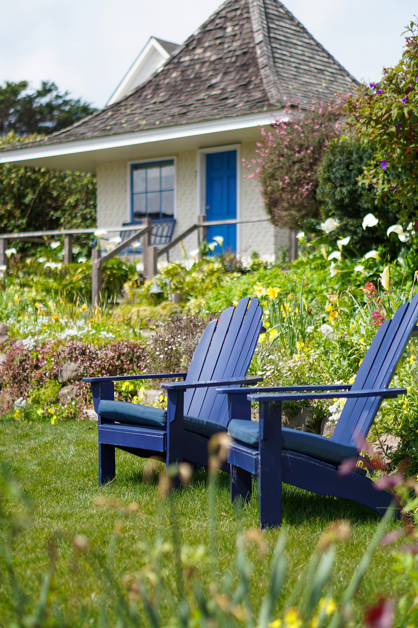 The Ultimate Dog Friendly Travel Guide to Mendocino California