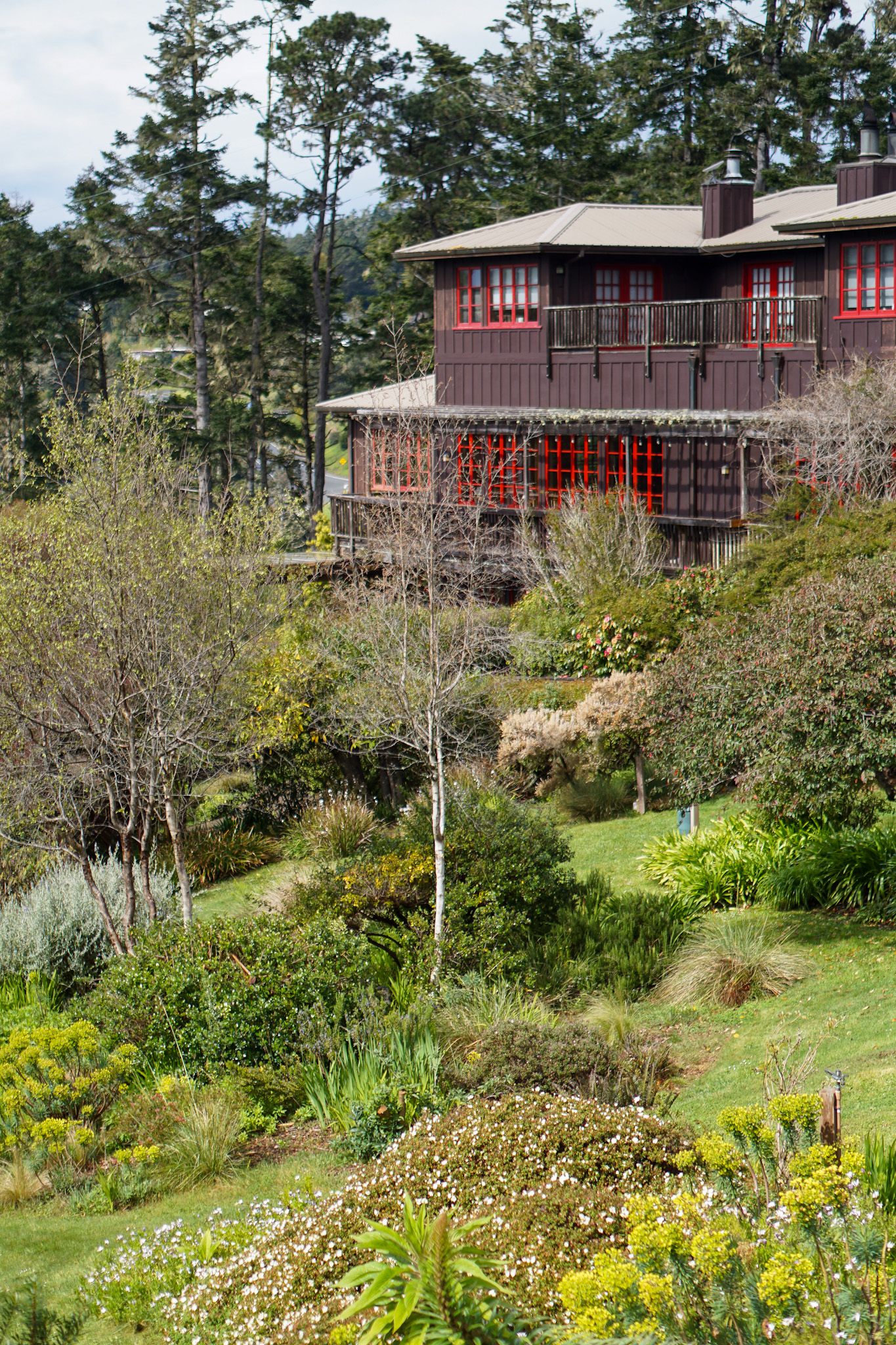 The Ultimate Dog Friendly Travel Guide to Mendocino California