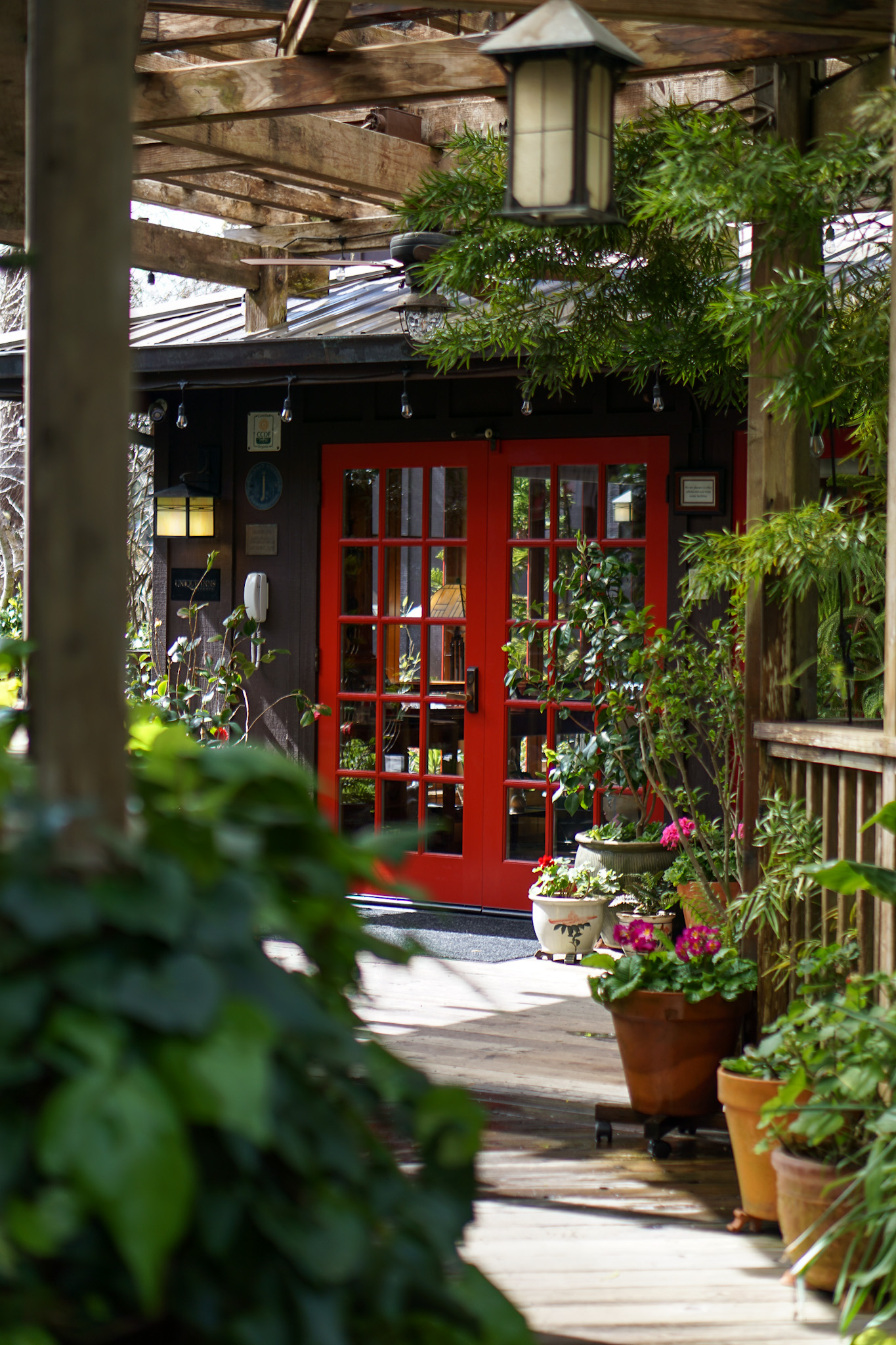 The Ultimate Dog Friendly Travel Guide to Mendocino California