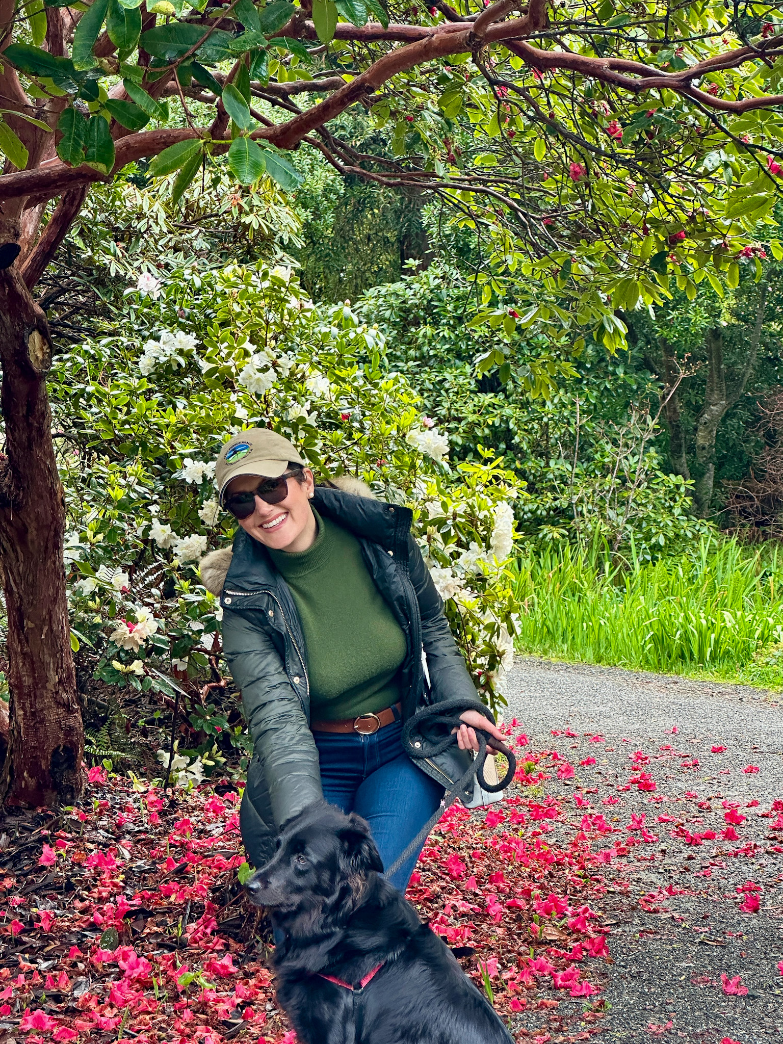 The Ultimate Dog Friendly Travel Guide to Mendocino California