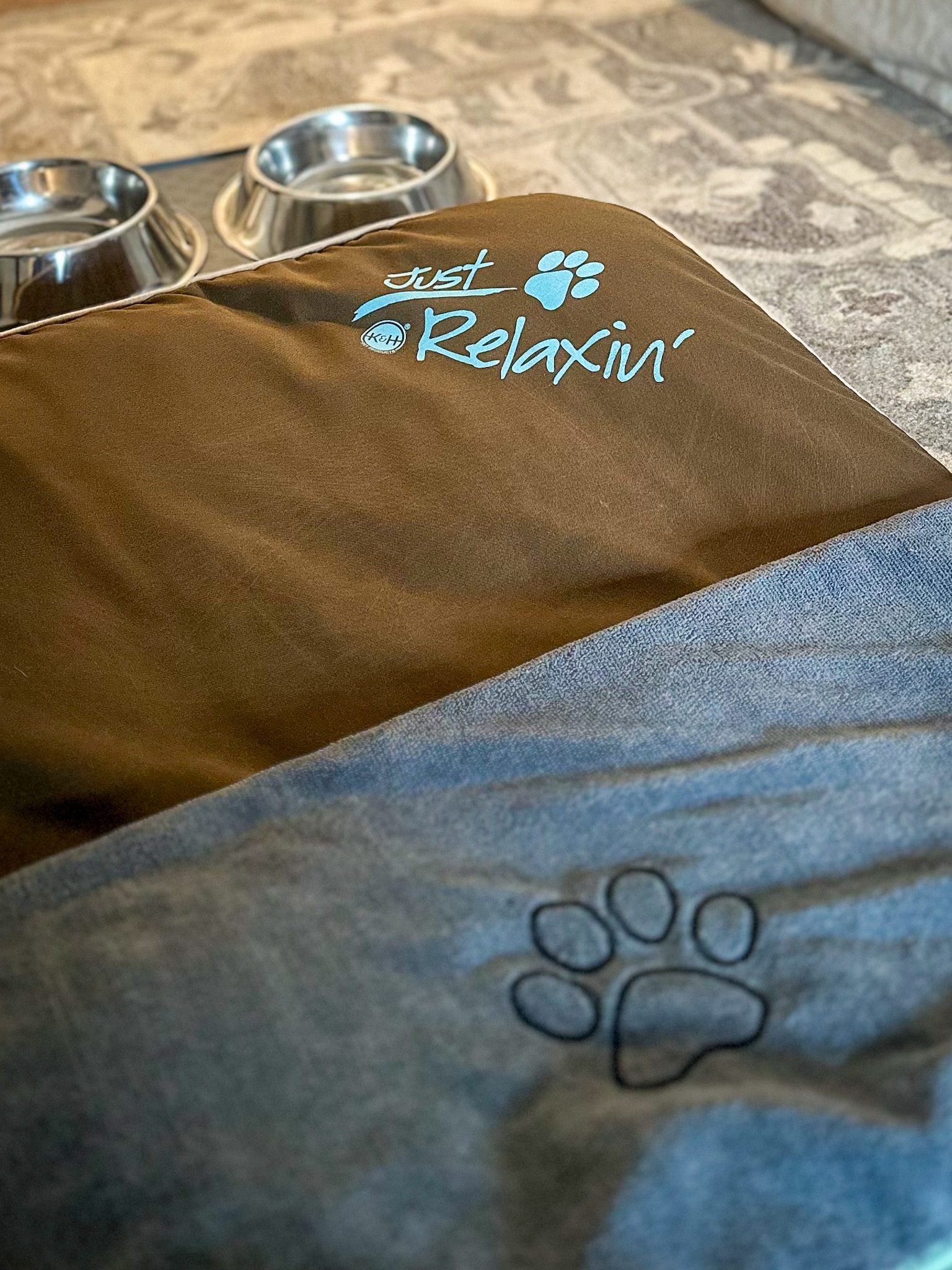 The Ultimate Dog Friendly Travel Guide to Mendocino California