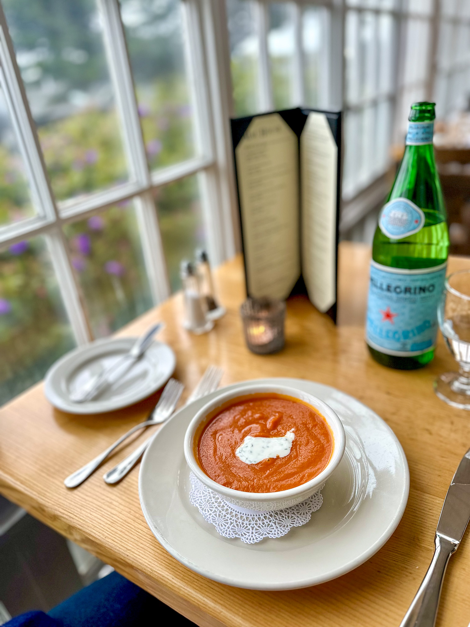 The Ultimate Dog Friendly Travel Guide to Mendocino California