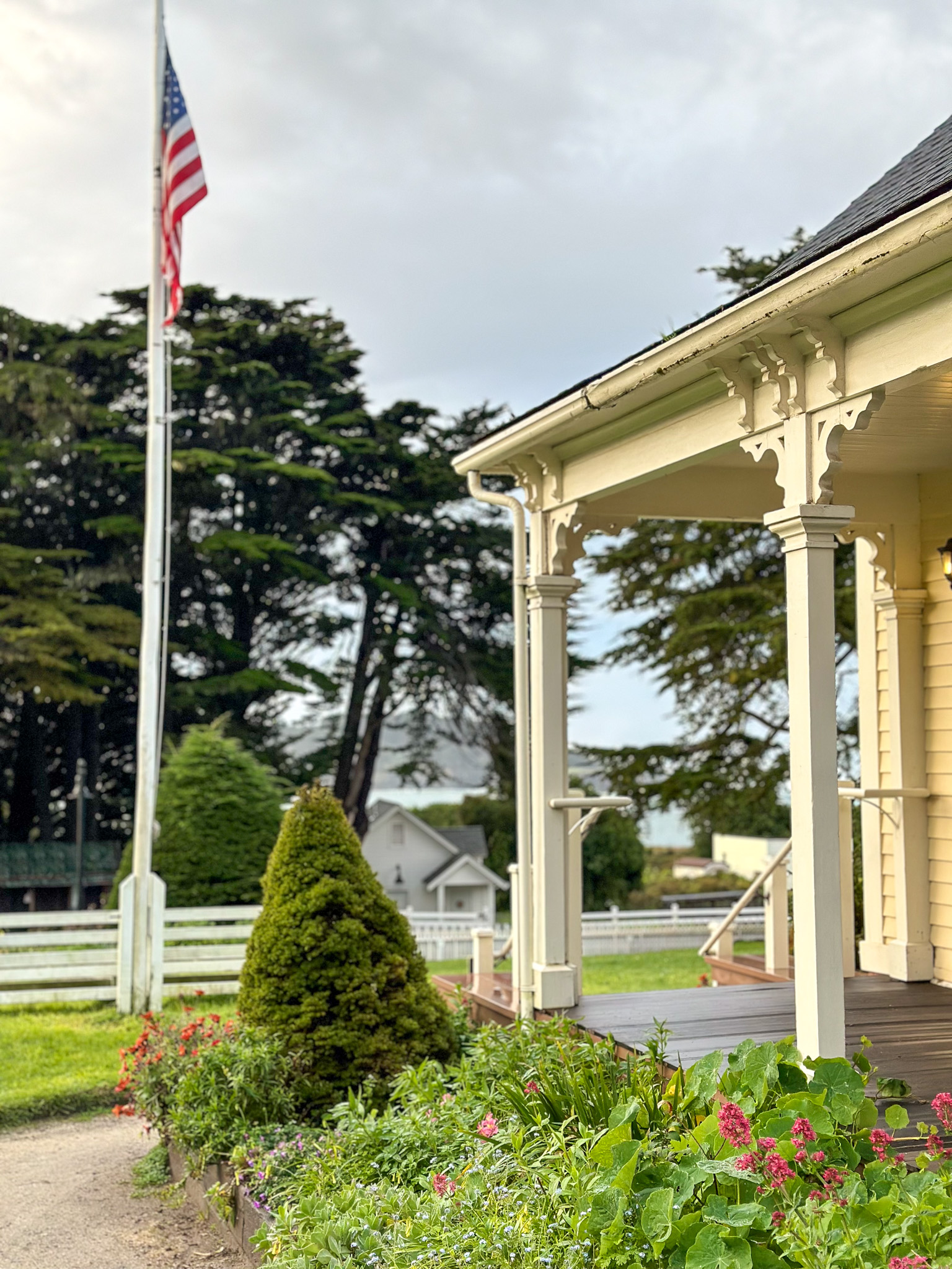 The Ultimate Dog Friendly Travel Guide to Mendocino California