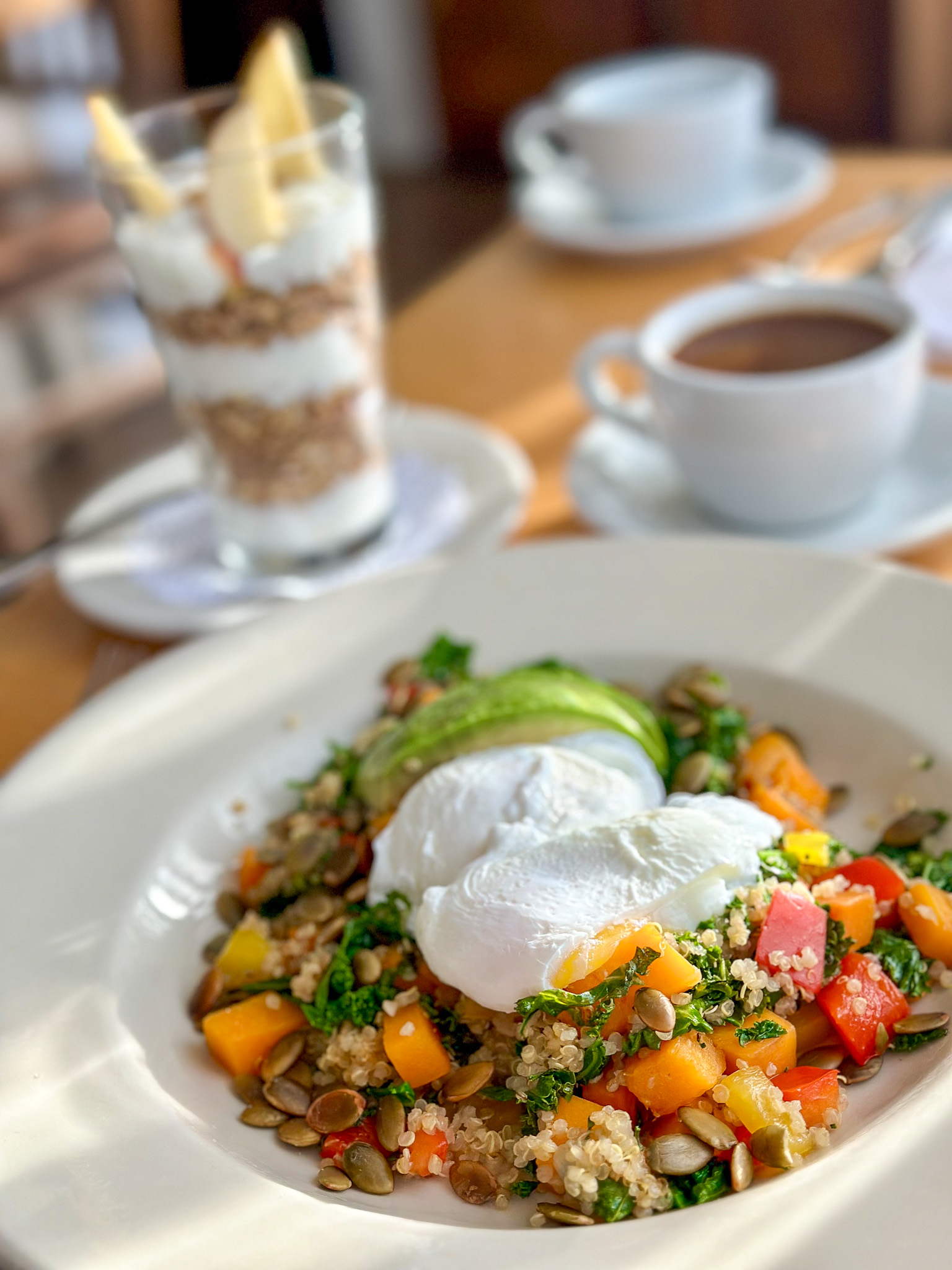 The Ultimate Dog Friendly Travel Guide to Mendocino California