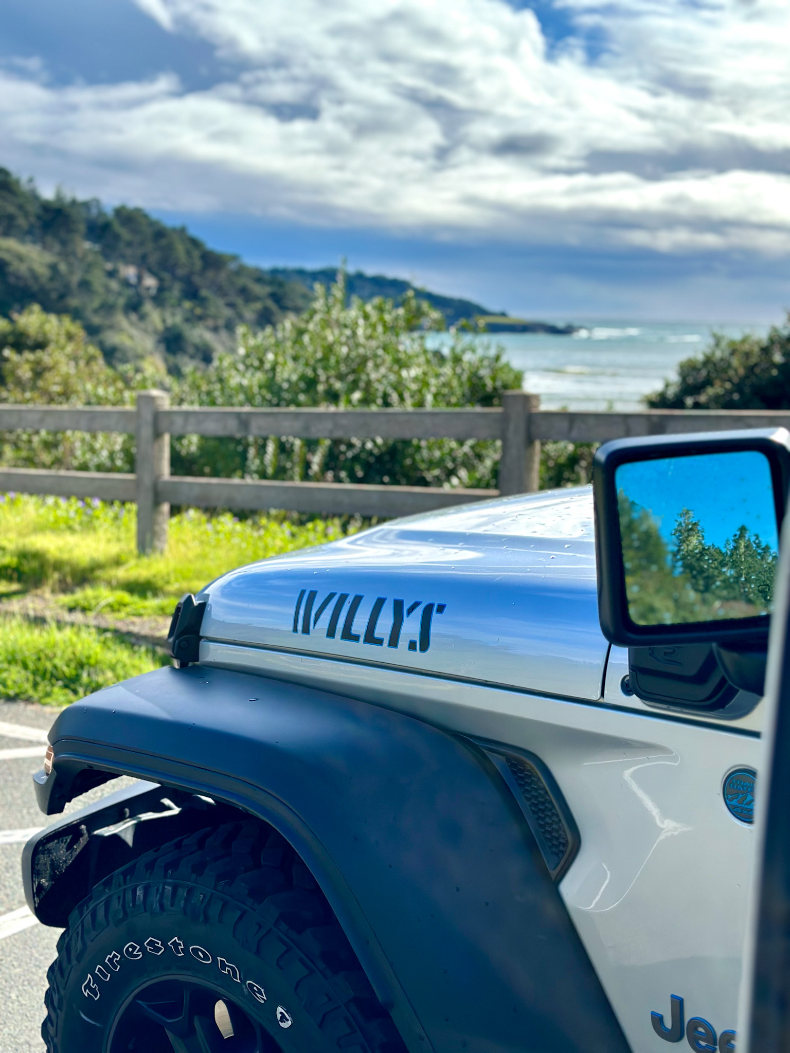 The Ultimate Dog Friendly Travel Guide to Mendocino California