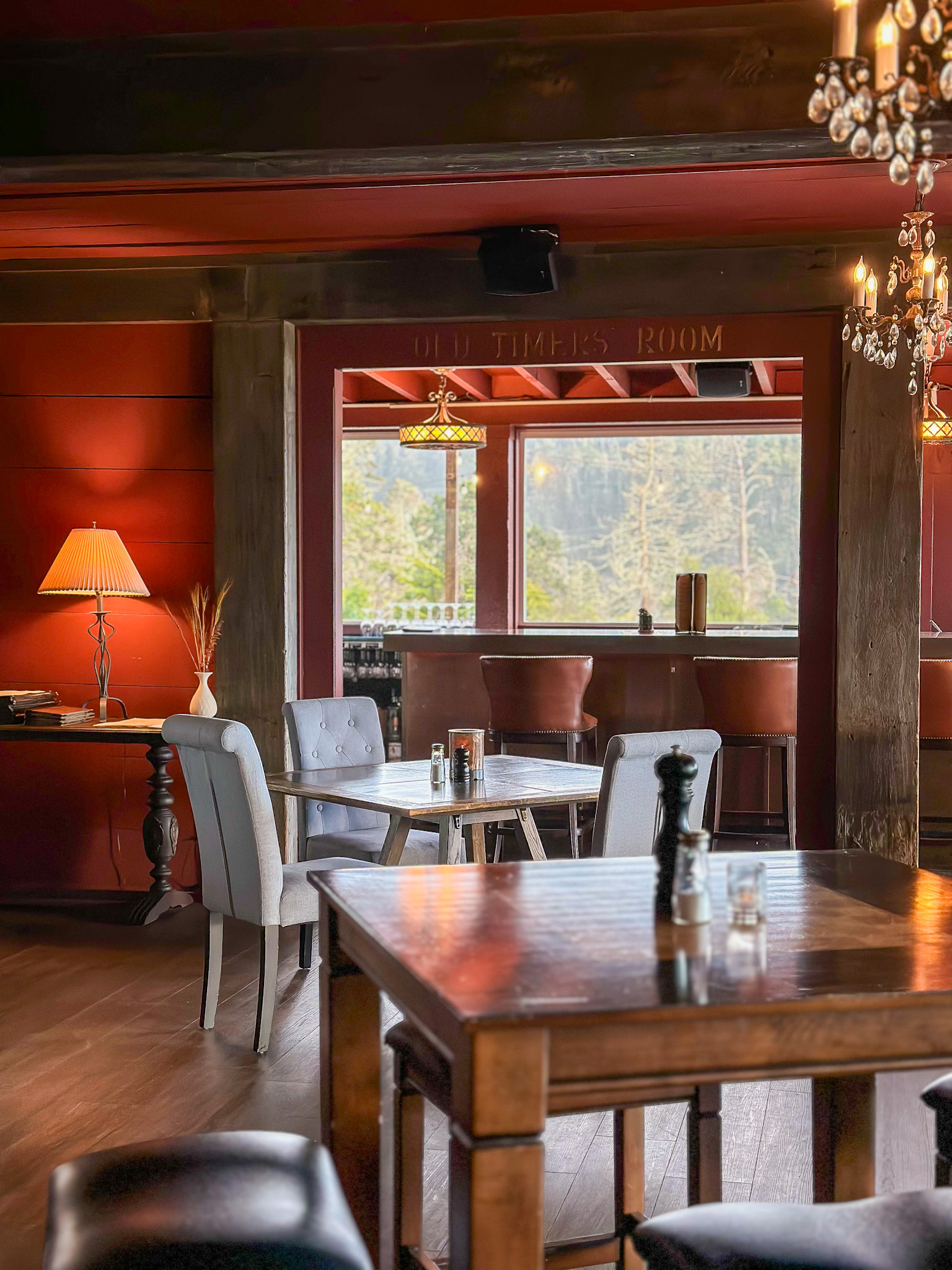 The Ultimate Dog Friendly Travel Guide to Mendocino California