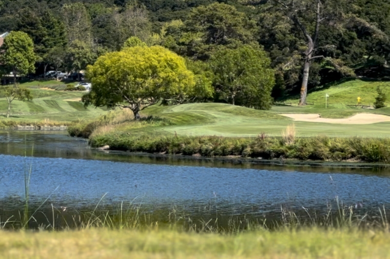 Fun Activities To Do on The Monterey Peninsula in Spring