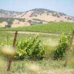 Discover Calistoga's Chic New Luxury Resort & New Hotspots and Entertaining Events in Napa Valley Discover-Calistogas-Chic-New-Luxury-Resort-New-Hotspots-in-Napa-Valley-1