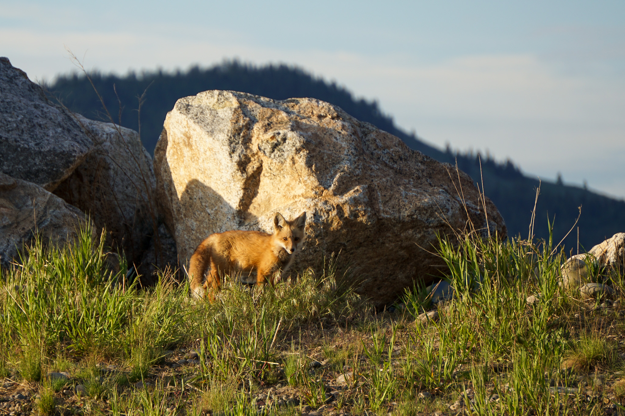Jackson Hole Wyoming Travel Guide - The Ultimate Outdoor Adventure in the Old Wild West