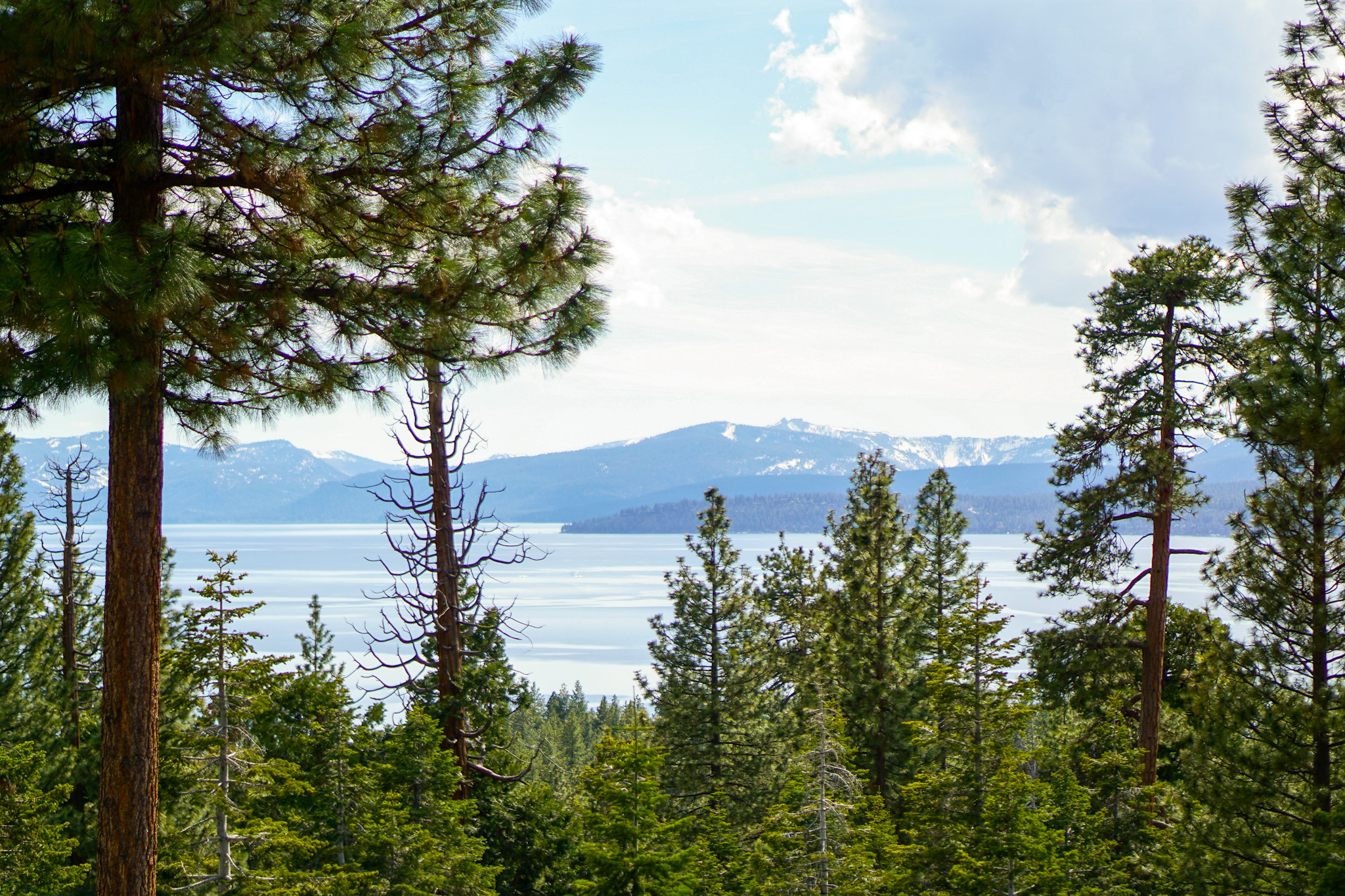 The Ultimate Luxury Travel Guide to North Lake Tahoe