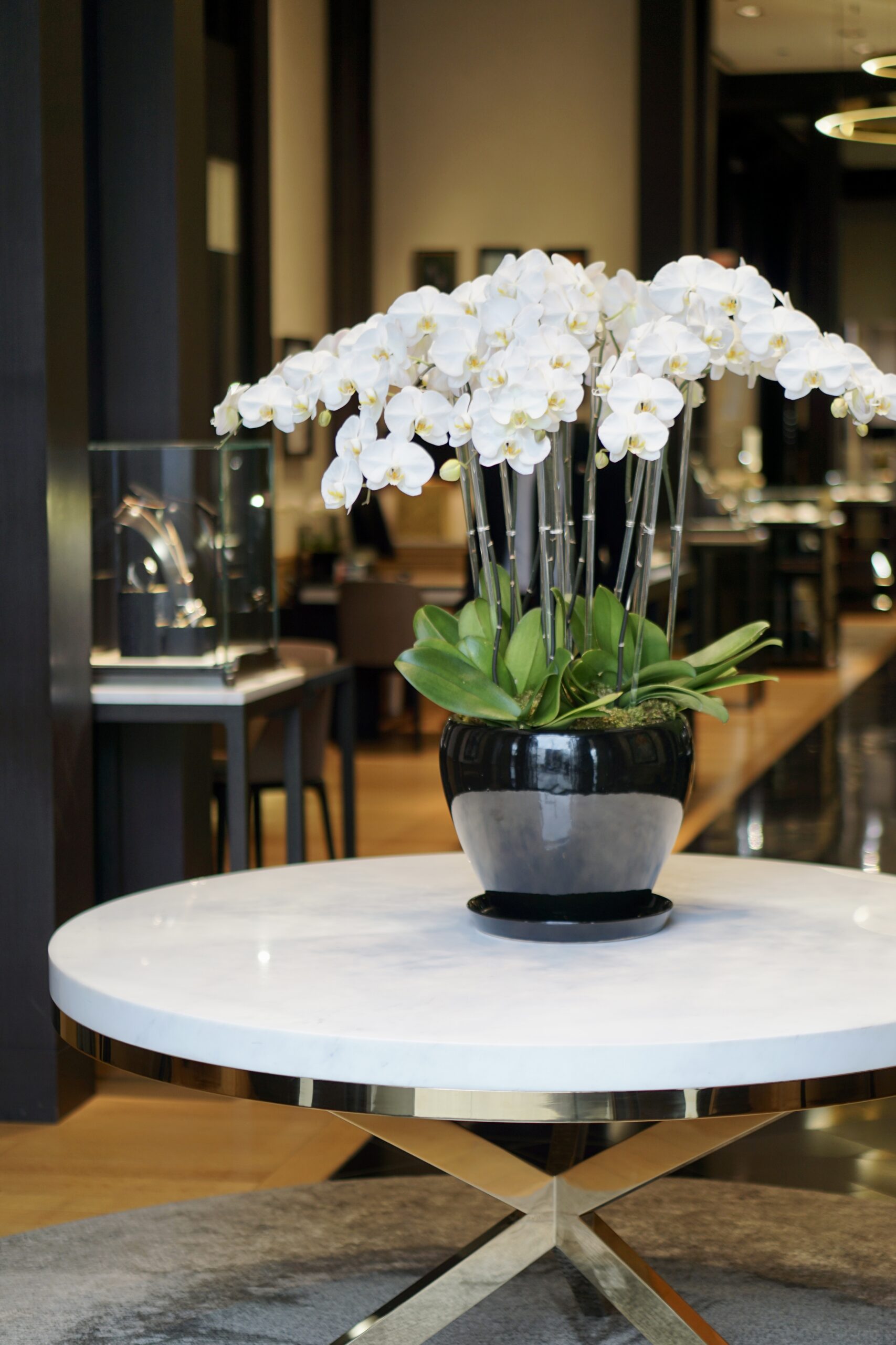 Rodeo Drive in Beverly Hills Celebrates Fashion with Special Events in August