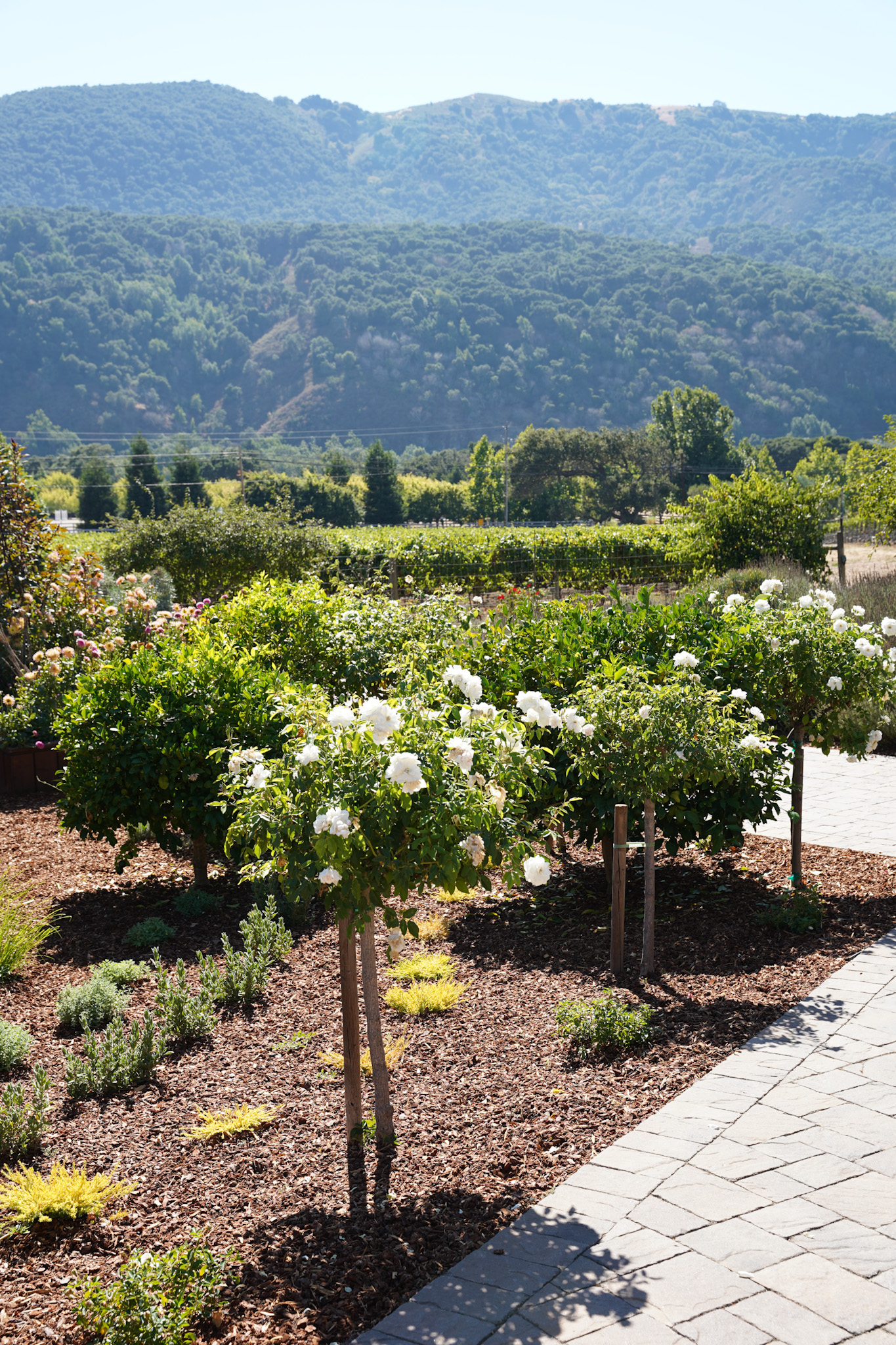 Discover The Easy Way to Book Dream Daycations at Hotel Pools & Spas - Bernardus Lodge & Spa