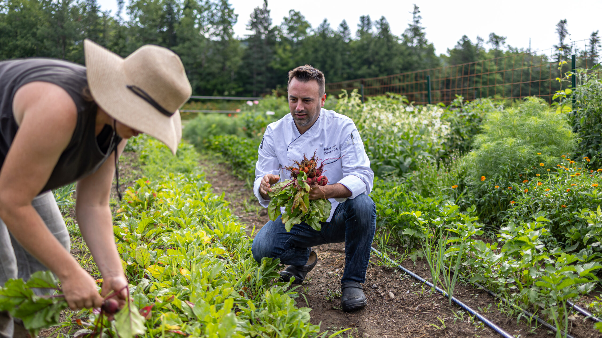 Savor September: 5 Fabulous Food & Wine Experiences Happening This Month - Image Credit The Weston