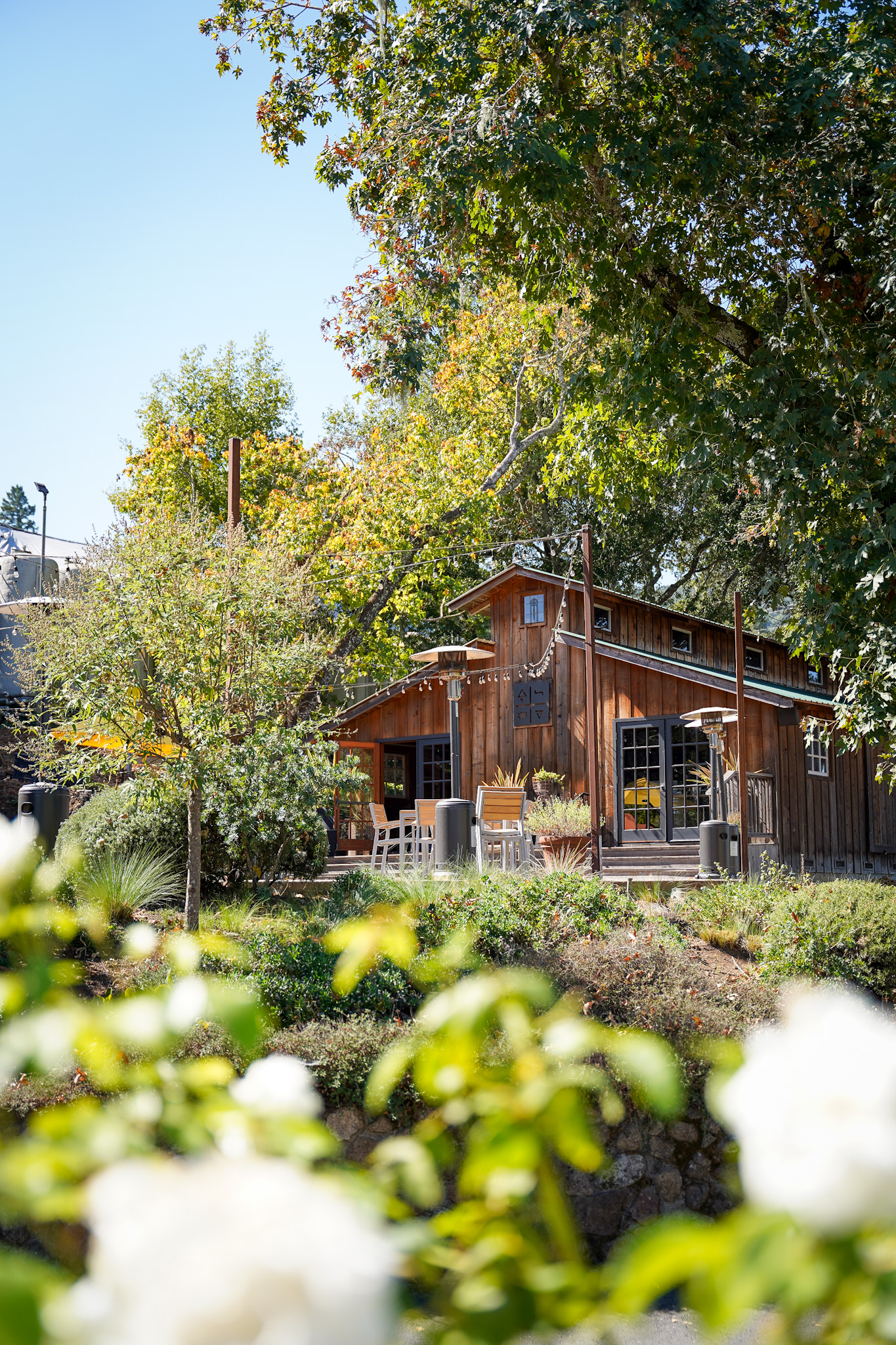 Discover One of America's Top 10 Winery Tours: An Immersive Exploration of Biodynamic Wine Production at Benziger Family Winery in Sonoma Valley