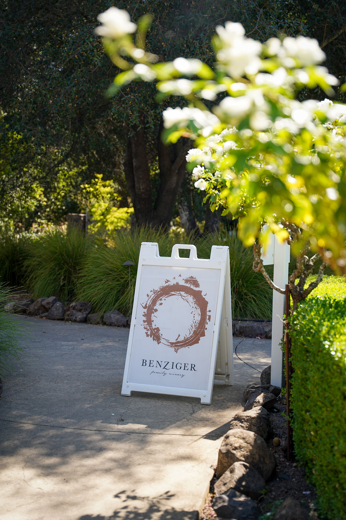 Discover One of America's Top 10 Winery Tours: An Immersive Exploration of Biodynamic Wine Production at Benziger Family Winery in Sonoma Valley