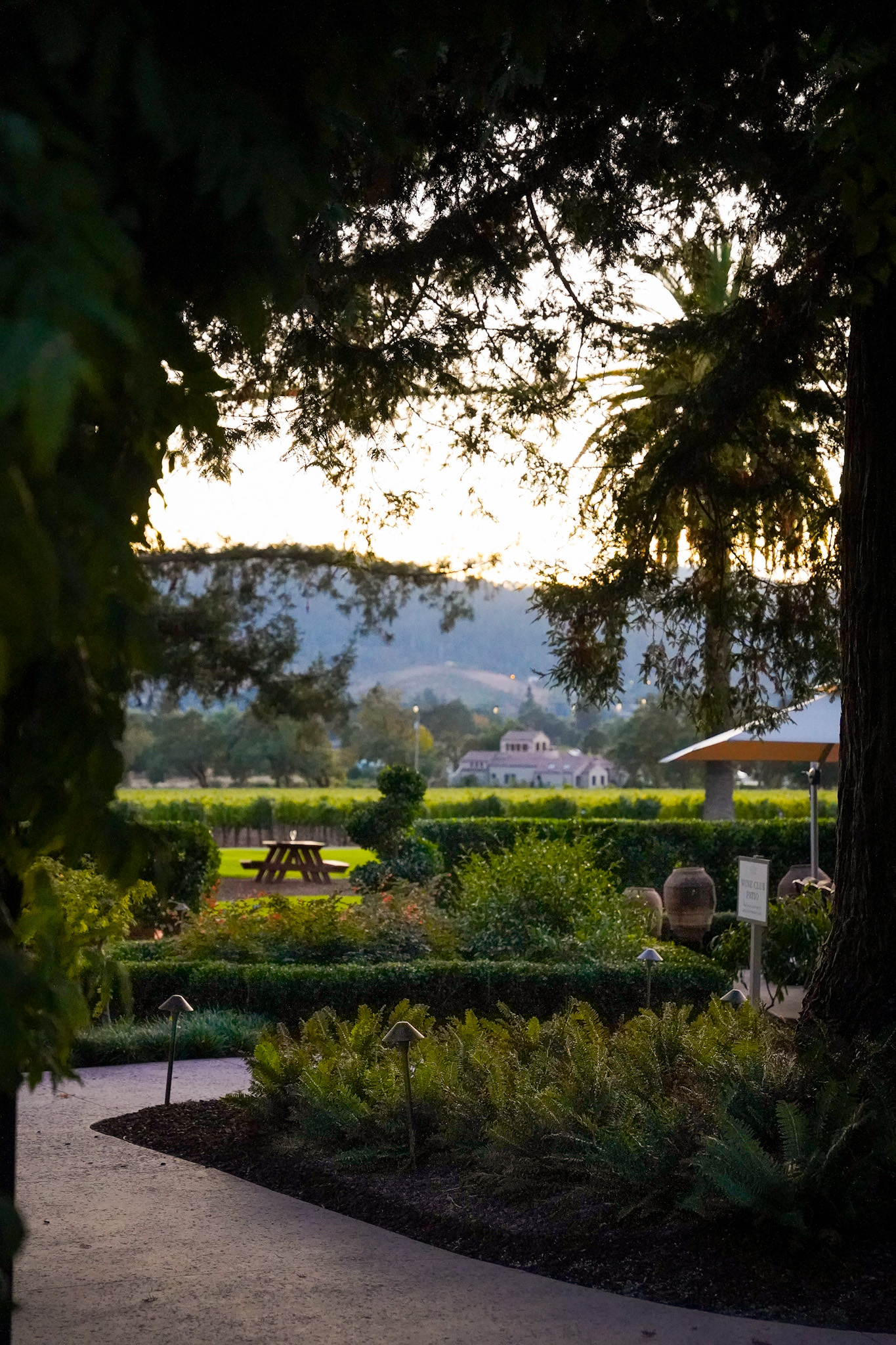 Chateau St. Jean Winery Honors The Start of a New Era at The Cinq Cépages Celebration