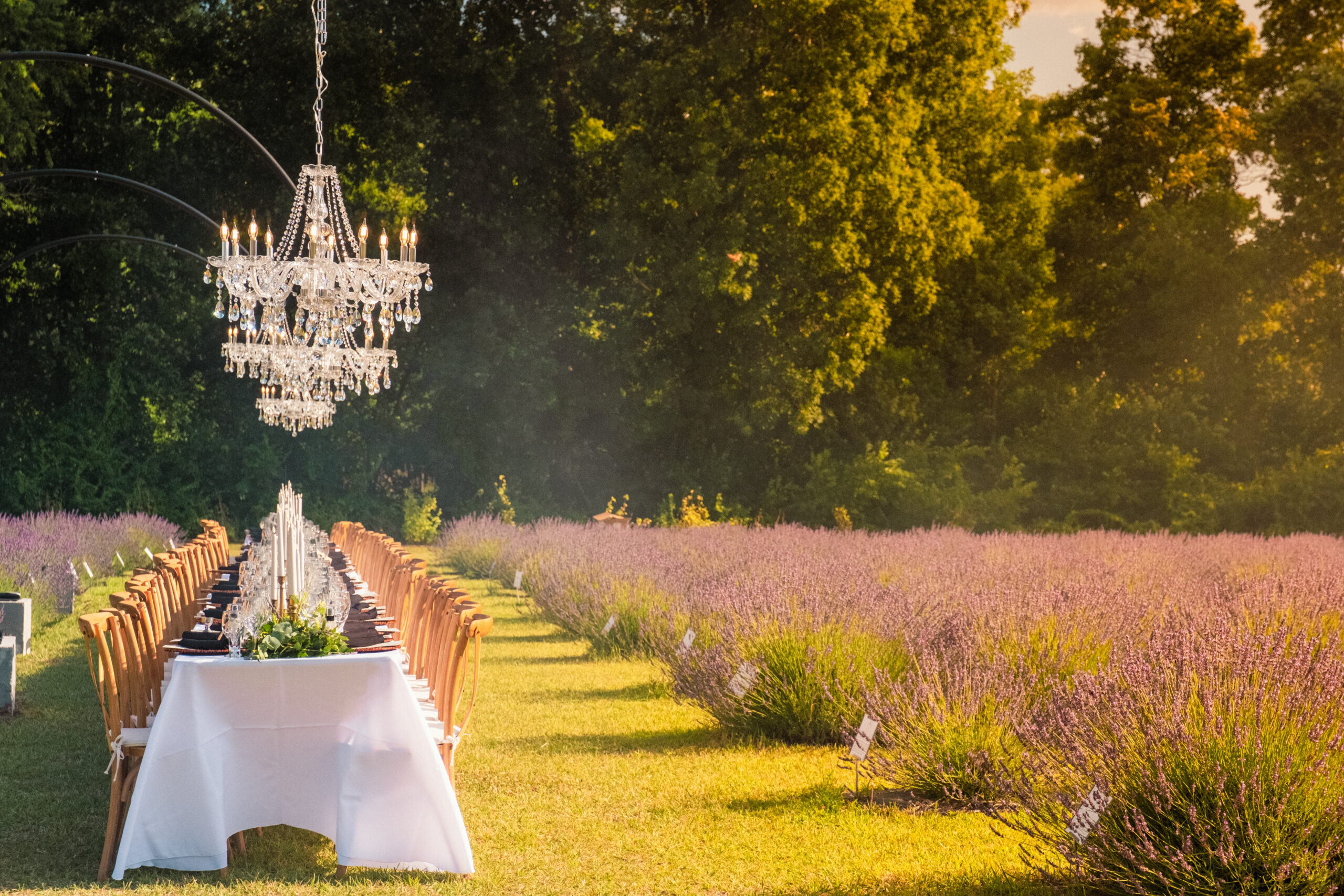 Celebrate Harvest Season at These 10 Delightful October Food & Wine Events - Brittingham Farm Fall Wine Dinner Experience