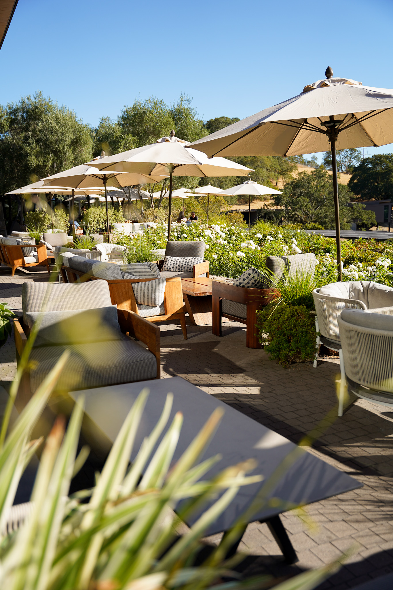 3 Gourmet Restaurants That Elevate The Dining Experience in Healdsburg California - Sonoma Valley Travel Tips - Hazel Hill at Montage Healdsburg