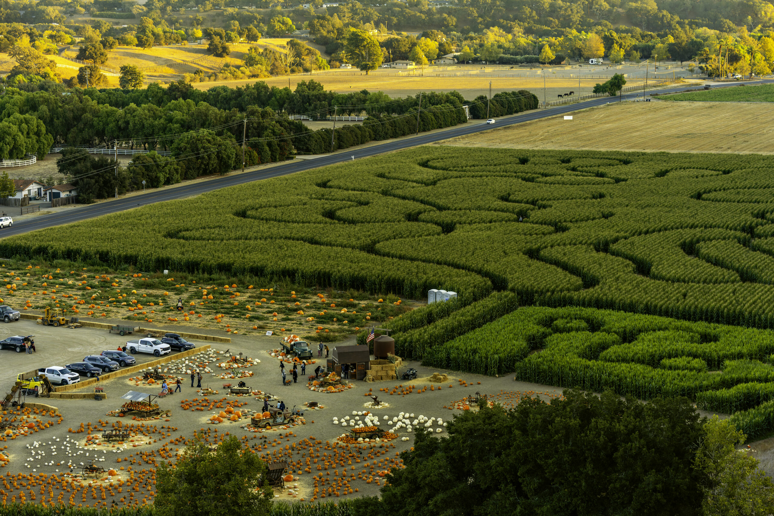 Charming Fall Festivals & Unique Pumpkin Patches That Are Fun For Families - Solvang Farmer Pumpkin Patch - Image credit Miguel Martinez
